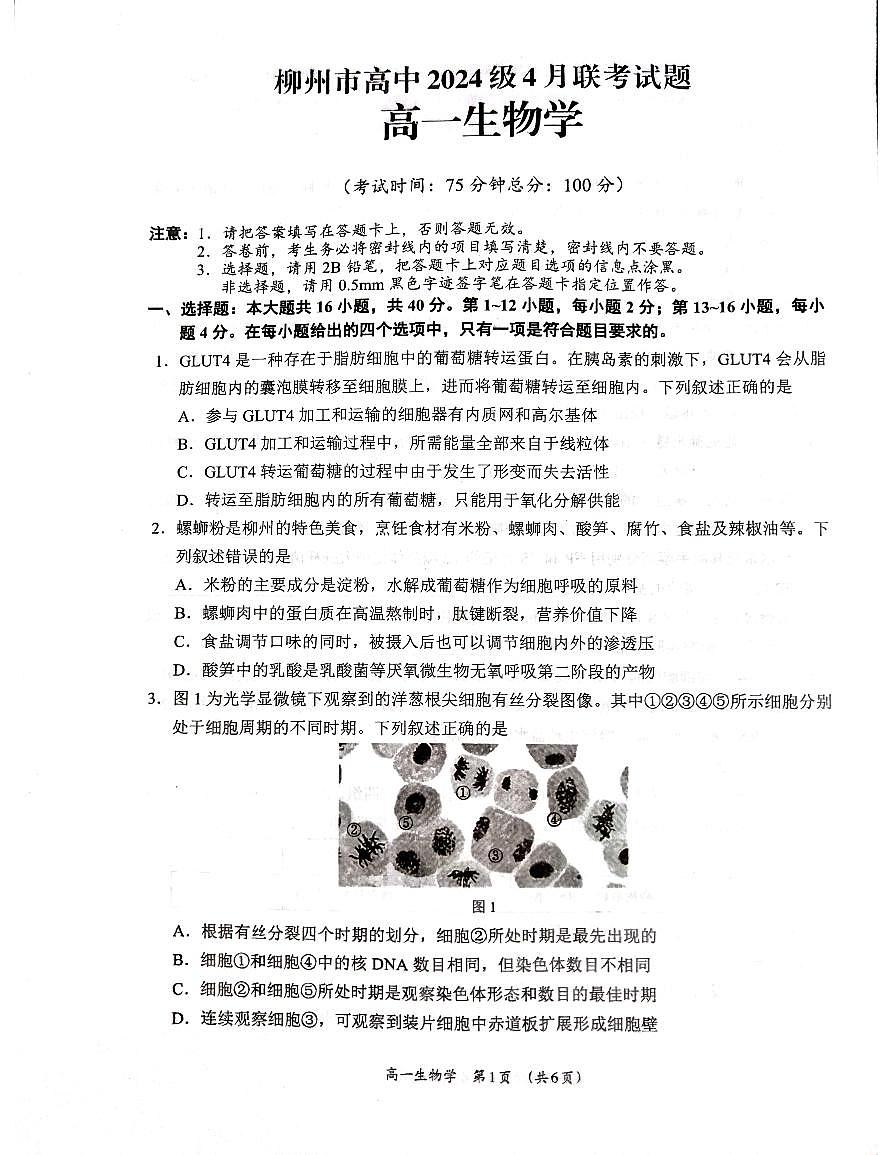 广西柳州市2024-2025学年高一下学期4月联考生物试卷第1页