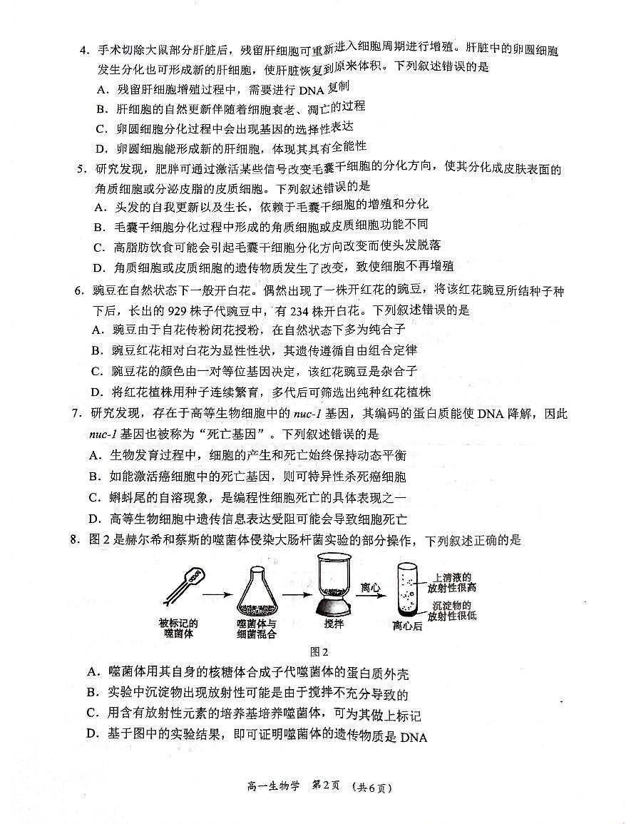 广西柳州市2024-2025学年高一下学期4月联考生物试卷第2页