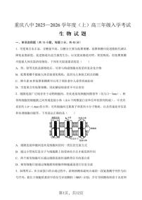重庆八中2025—2026 学年度（上）高三年级8月入学考试生物试卷+答案