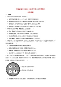 河南省商丘市2024_2025学年高二生物下学期期中试题