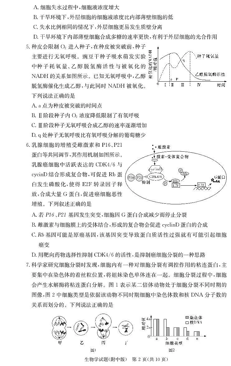 湖南师范大学附属中学2024-2025学年高三上学期第二次月考生物试卷+答案第2页