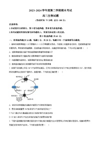 江苏省泰州市2023-2024学年高二下学期6月期末考试生物试题（含答案）