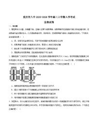 重庆市第八中学2025-2026学年高三上学期入学考试生物试题（Word版附答案）