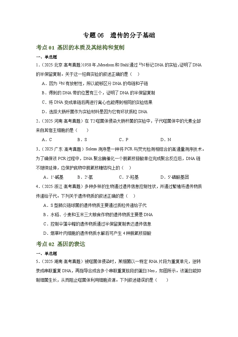 专题06 遗传的分子基础(原卷版)第1页