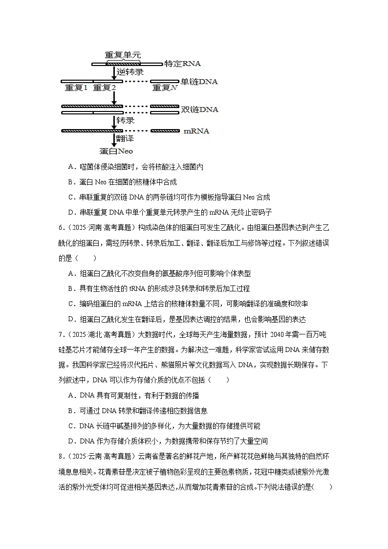 专题06 遗传的分子基础(原卷版)第2页