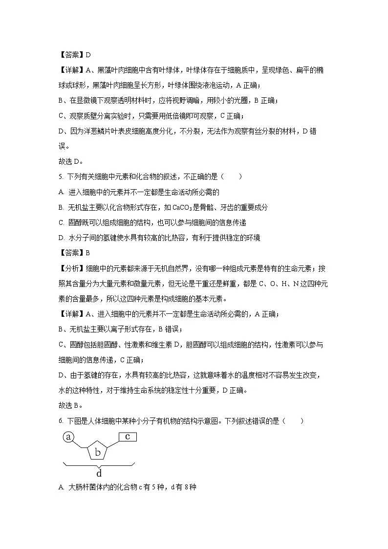 【生物】河北省邯郸市NT20名校联合体2024-2025学年高一上学期期末考前实战大演练试题(解析版)第3页