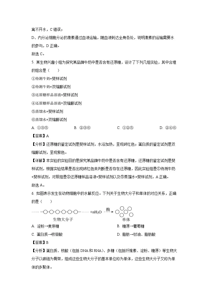 【生物】四川省2024-2025学年高一上学期12月月考试题(解析版)第3页