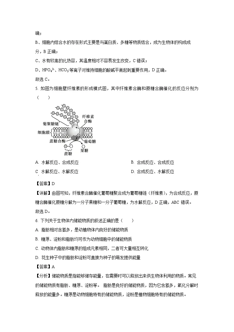 【生物】天津市南开区2024-2025学年高一上学期期末试卷(解析版)第3页