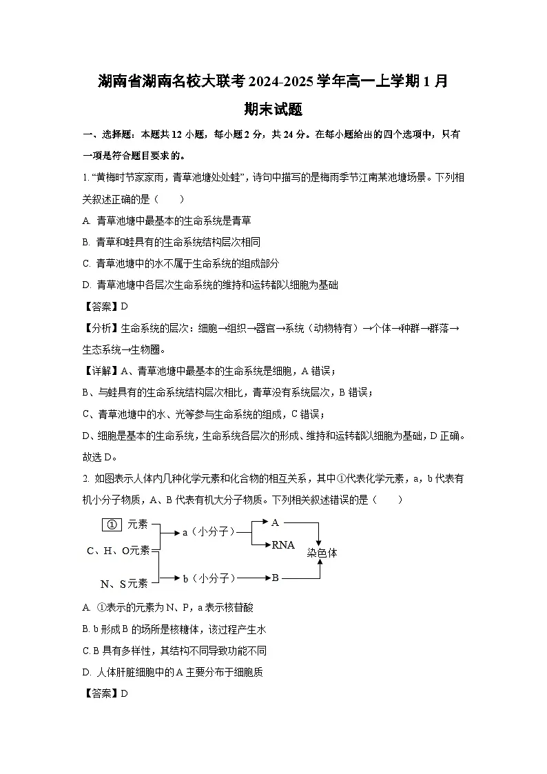 【生物】湖南省湖南名校大联考2024-2025学年高一上学期1月期末试题(解析版)第1页