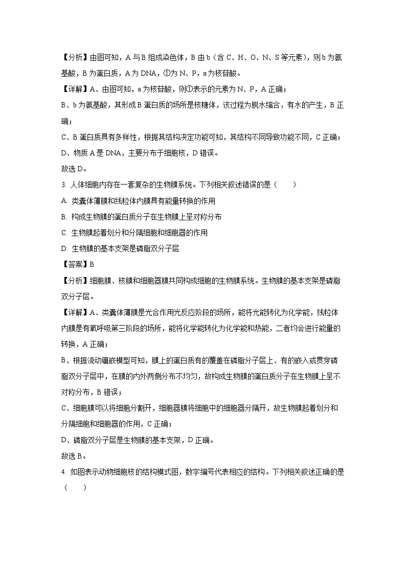 【生物】湖南省湖南名校大联考2024-2025学年高一上学期1月期末试题(解析版)第2页