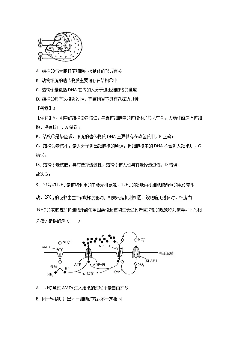 【生物】湖南省湖南名校大联考2024-2025学年高一上学期1月期末试题(解析版)第3页