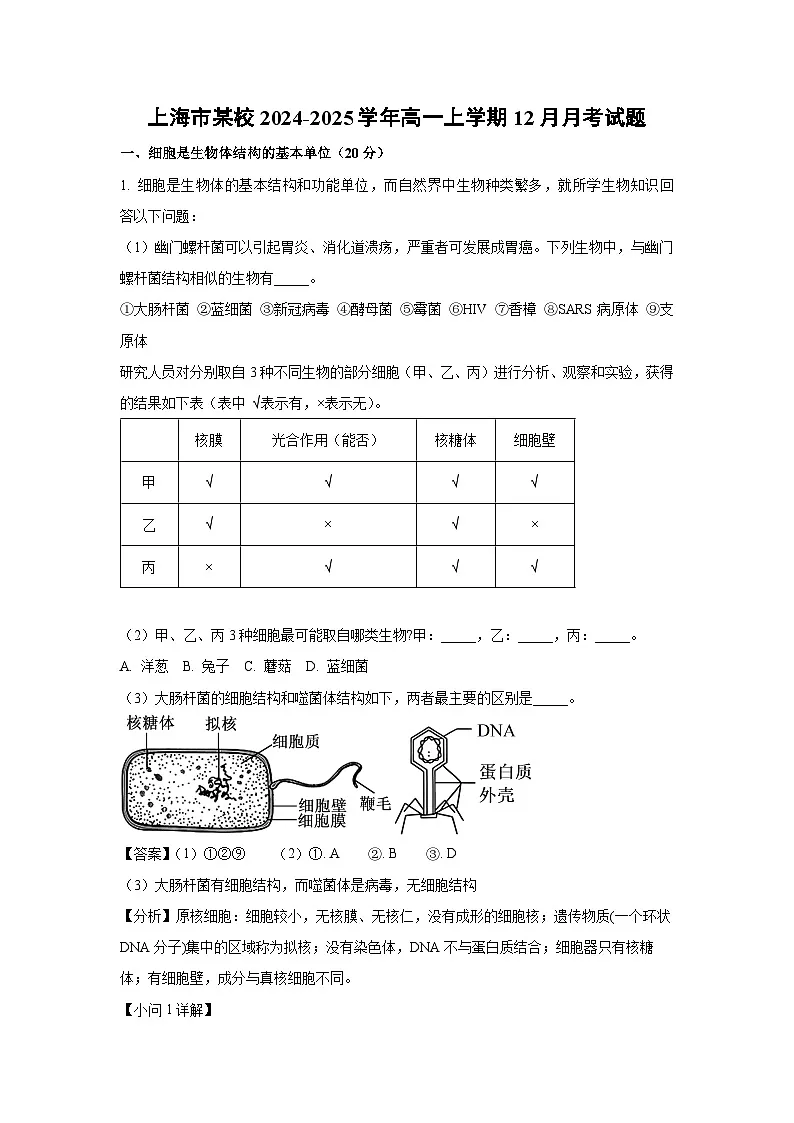 【生物】上海市某校2024-2025学年高一上学期12月月考试题(解析版)第1页