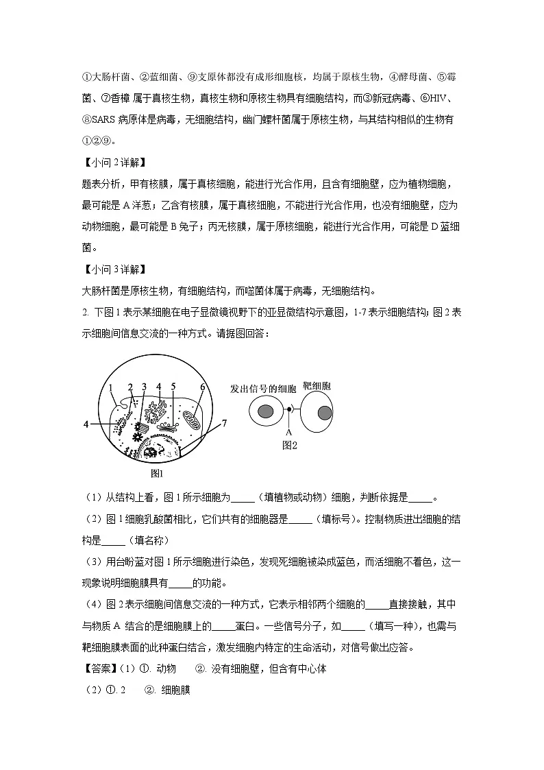 【生物】上海市某校2024-2025学年高一上学期12月月考试题(解析版)第2页