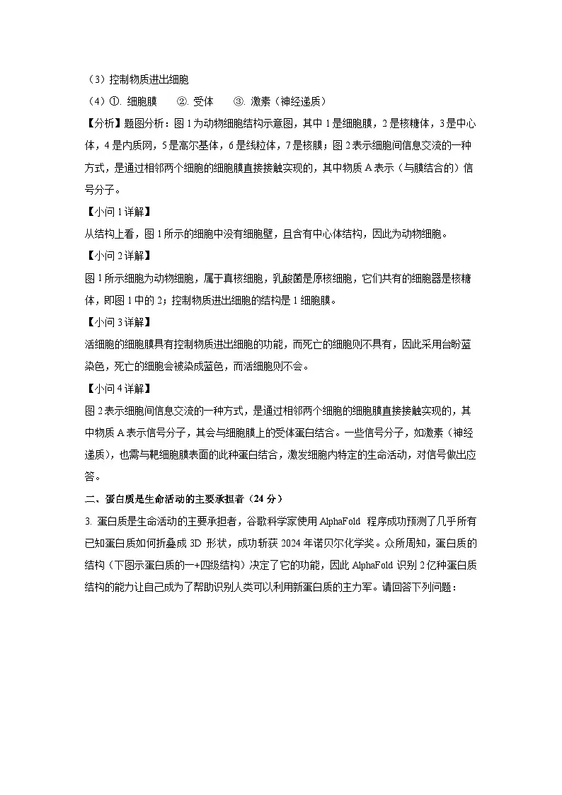 【生物】上海市某校2024-2025学年高一上学期12月月考试题(解析版)第3页