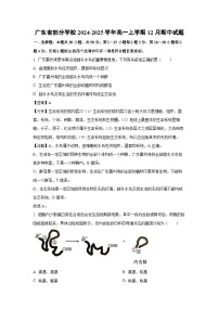 【生物】广东省部分学校2024-2025学年高一上学期12月期中试题（解析版）