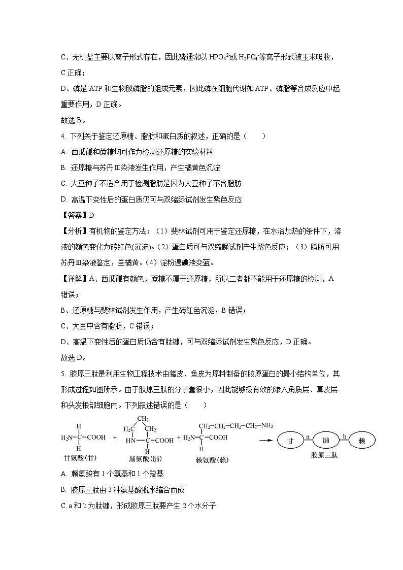 【生物】广西北海市2023-2024学年高一上学期期末试题(解析版)第3页