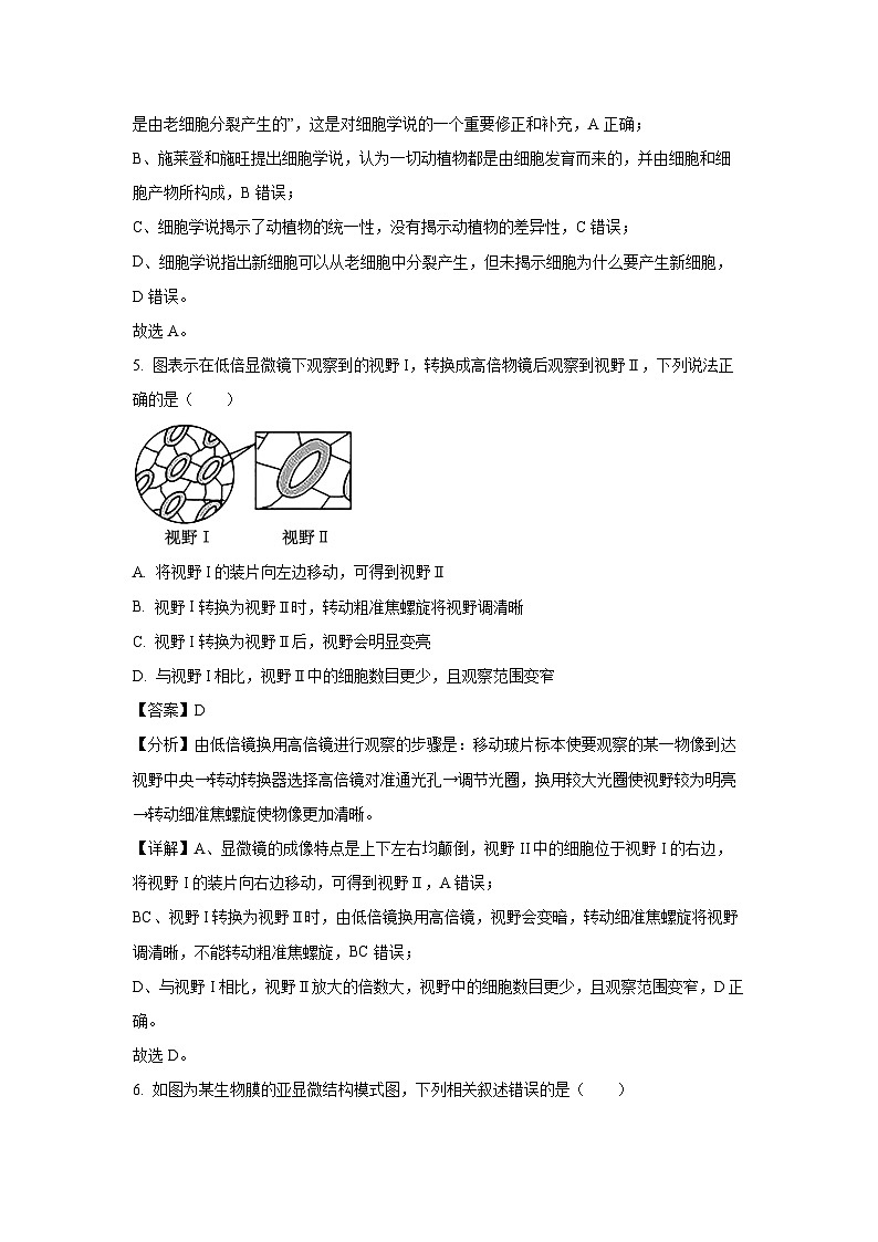 【生物】广西梧州市2023-2024学年高一上学期期末考试试题(解析版)第3页