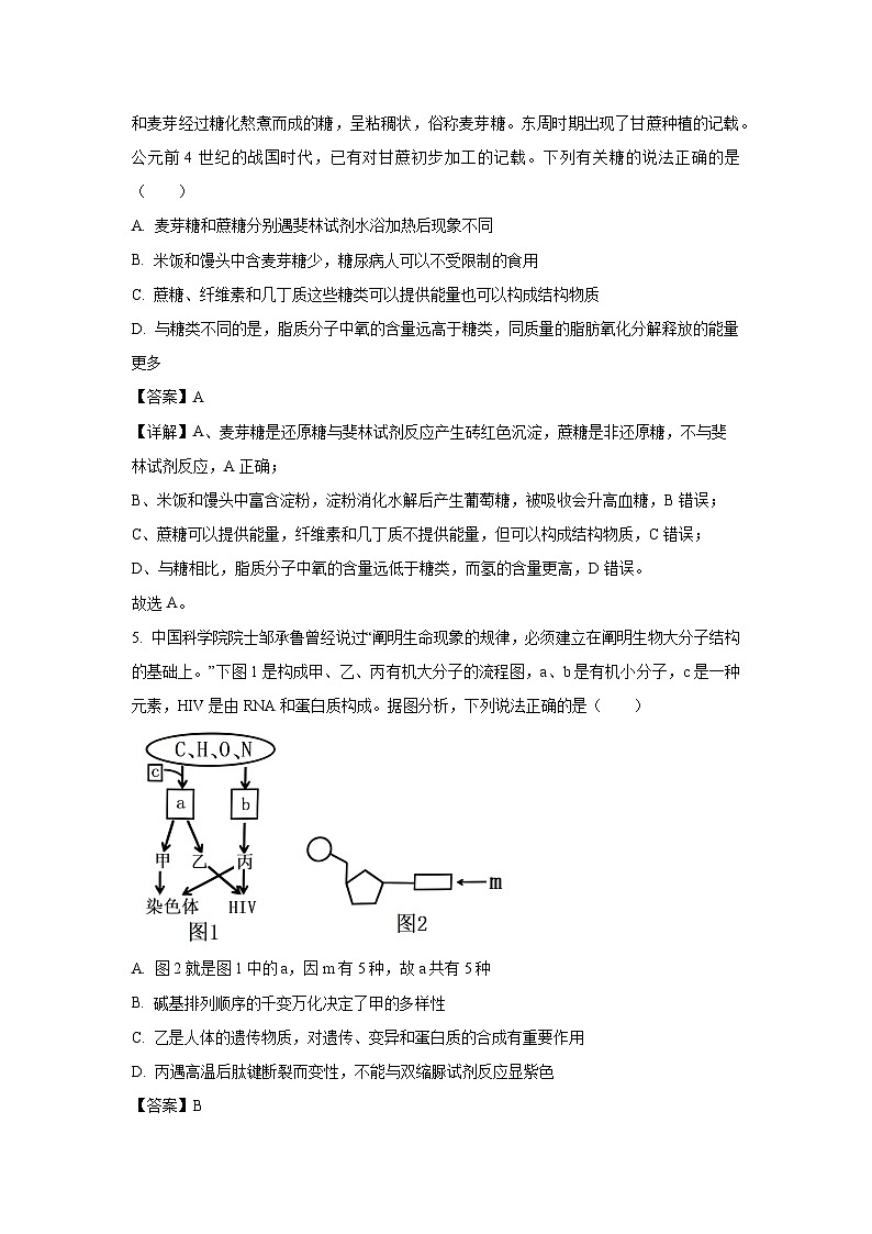 【生物】湖北省新高考联考协作体2023-2024学年高一上学期期末试题(解析版)第3页