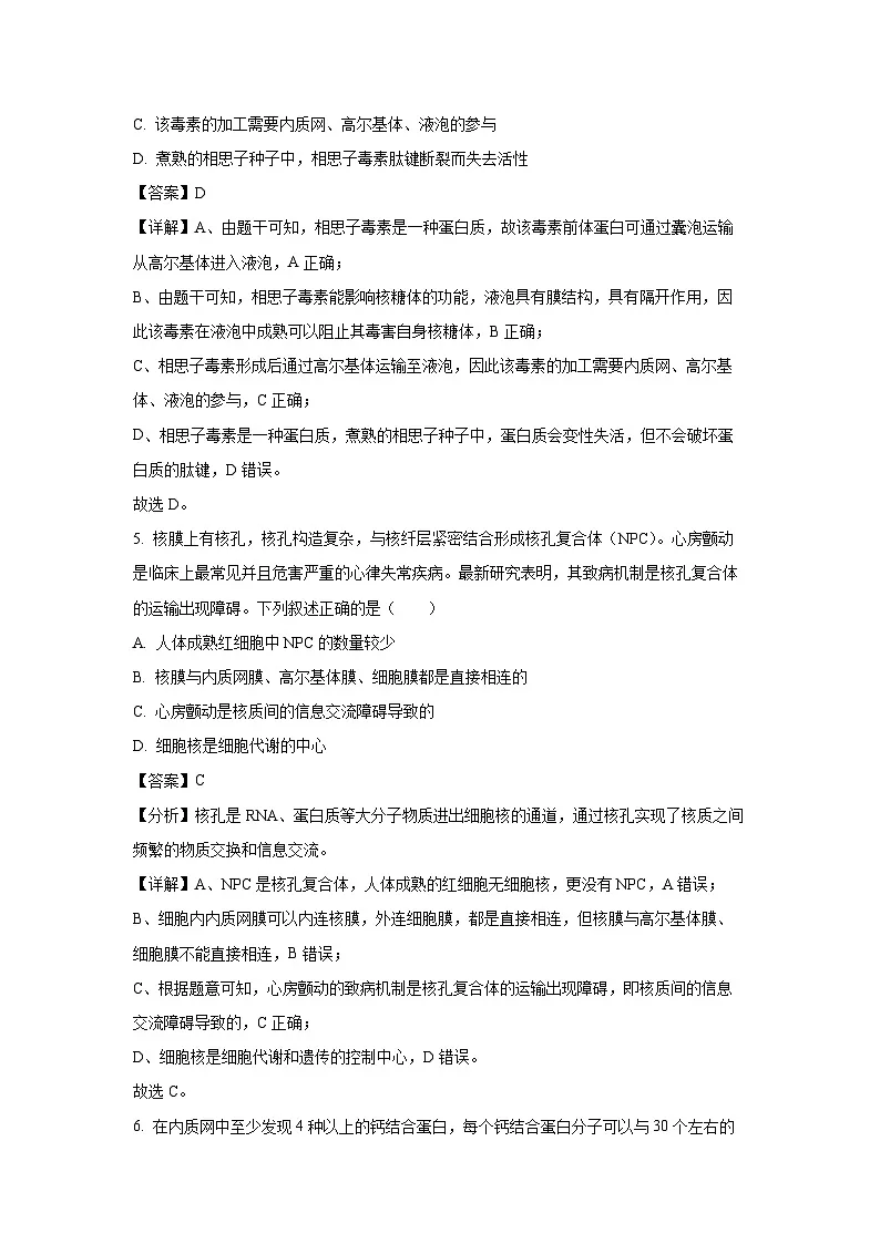 【生物】湖南省名校联盟2024—2025学年高一上学期12月考试试题(解析版)第3页