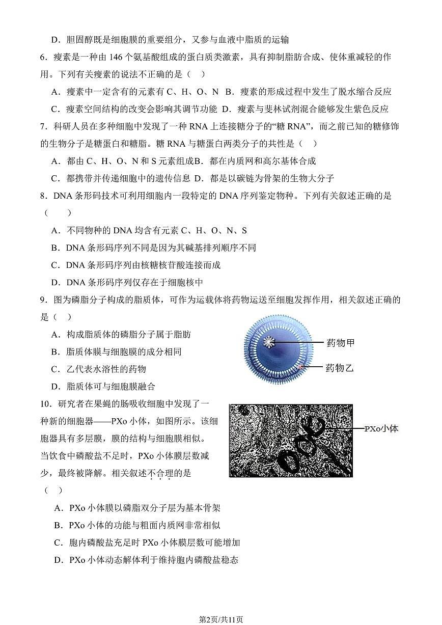 2025北京十一学校顺义学校高三(上)开学考生物试卷(教师版)第2页