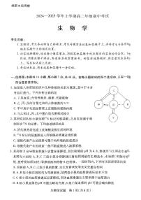 河南省濮阳市2024-2025学年高二上学期11月期中考试生物试题