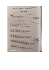 河南省商丘市2024-2025学年高二上学期期末商师大联考生物试题