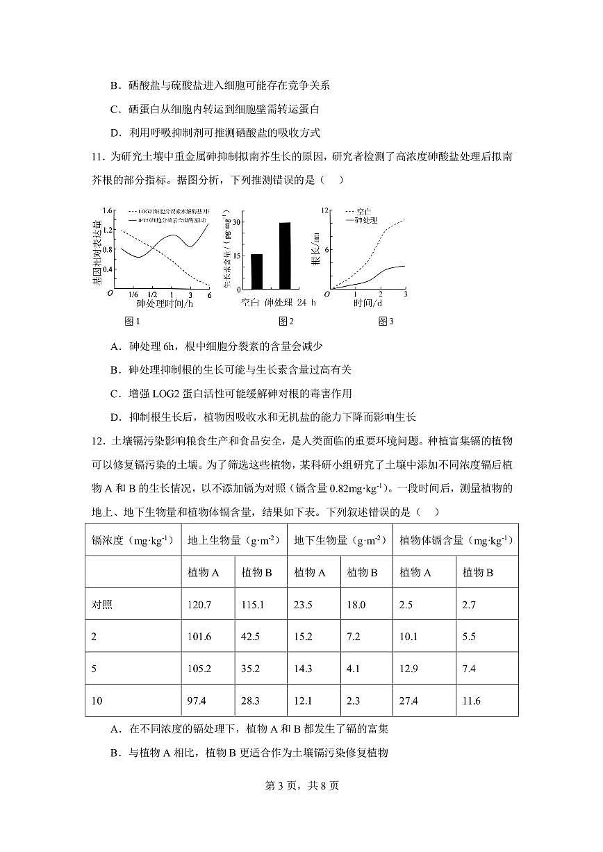 湖南省邵阳市第二中学2024-2025学年高三上学期8月月考生物试题+答案第3页