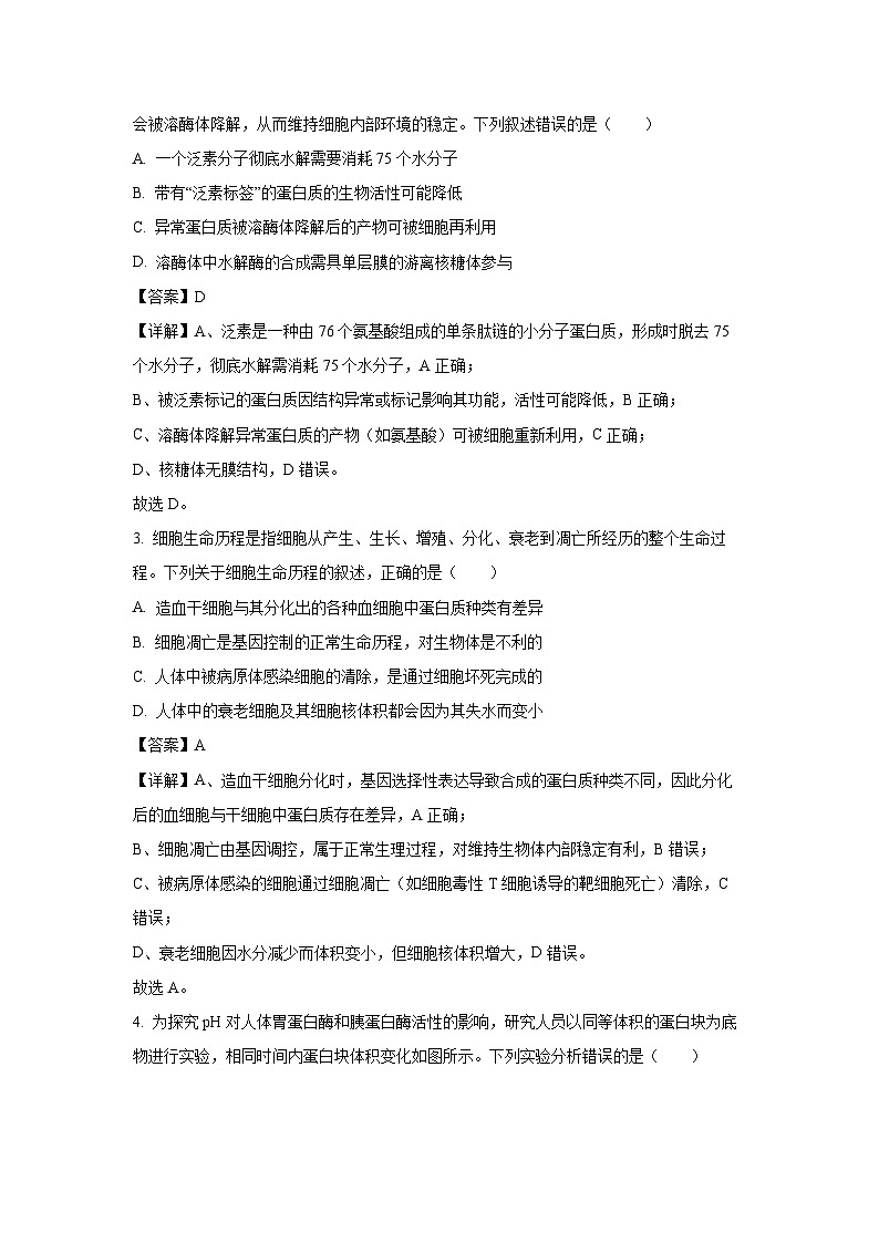 湖北省武汉市2025-2026学年高三上学期8月开学测试生物试卷(解析版)第2页