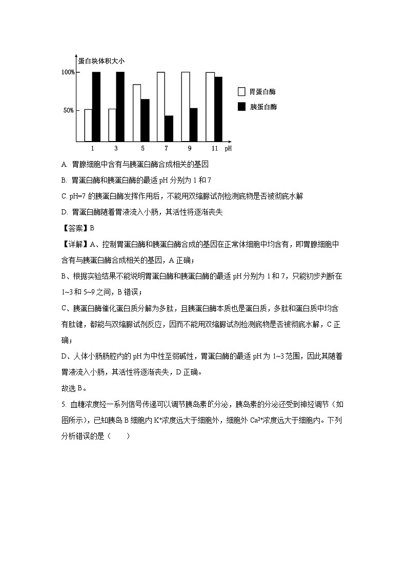 湖北省武汉市2025-2026学年高三上学期8月开学测试生物试卷(解析版)第3页