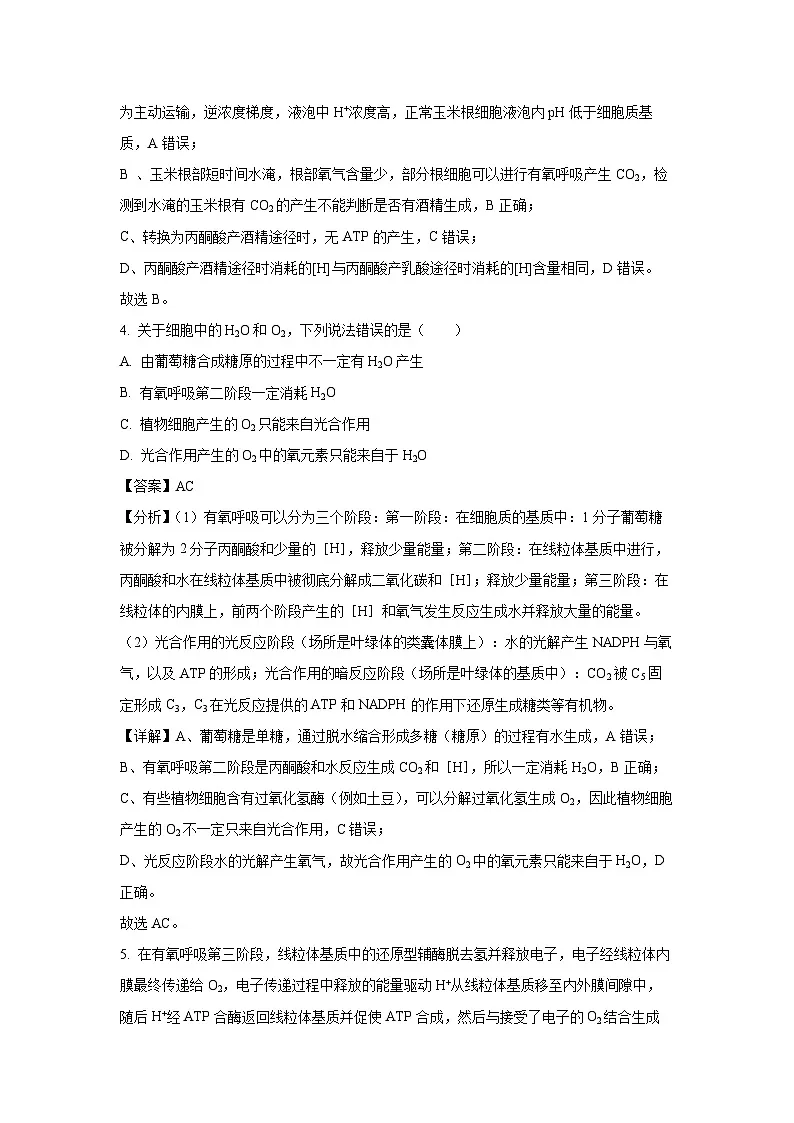 山东省实验中学2026届高三上学期开学测试生物试卷(解析版)第3页