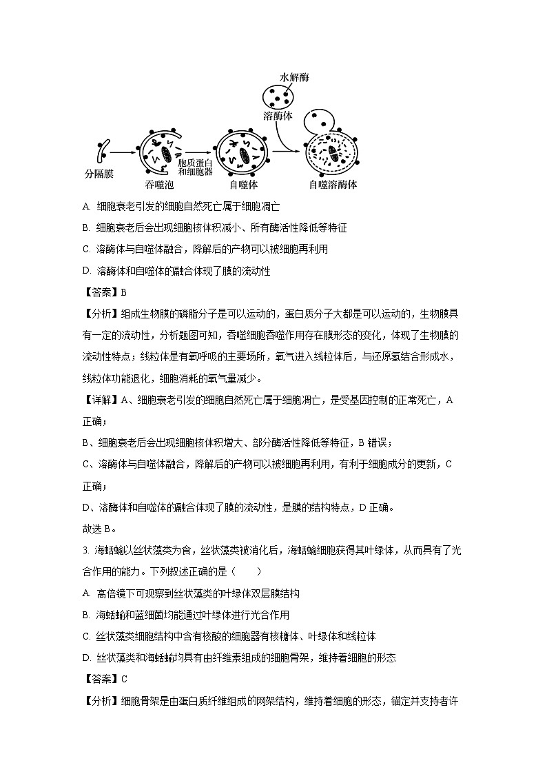 湖南省邵阳市2024-2025学年高二下学期期末考试生物试卷(解析版)第2页