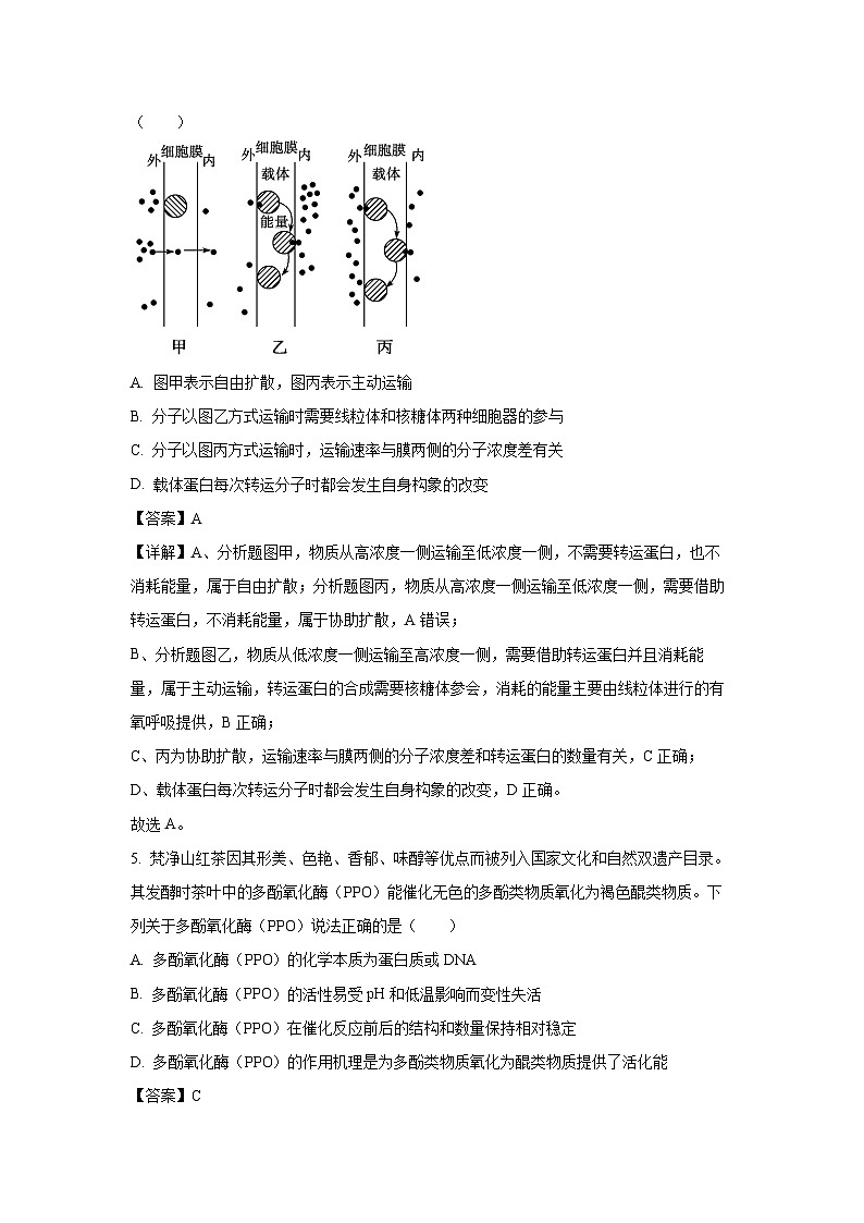 贵州省铜仁市2024-2025学年高一下学期期末教学质量监测学生物试卷(解析版)第3页