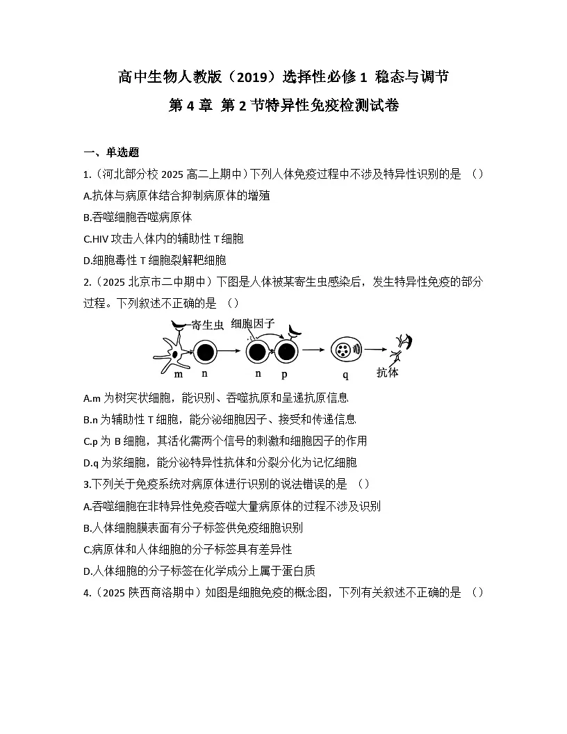 高中生物人教版(2019)选择性必修1 稳态与调节第4章 第2节特异性免疫检测试卷(及答案)第1页