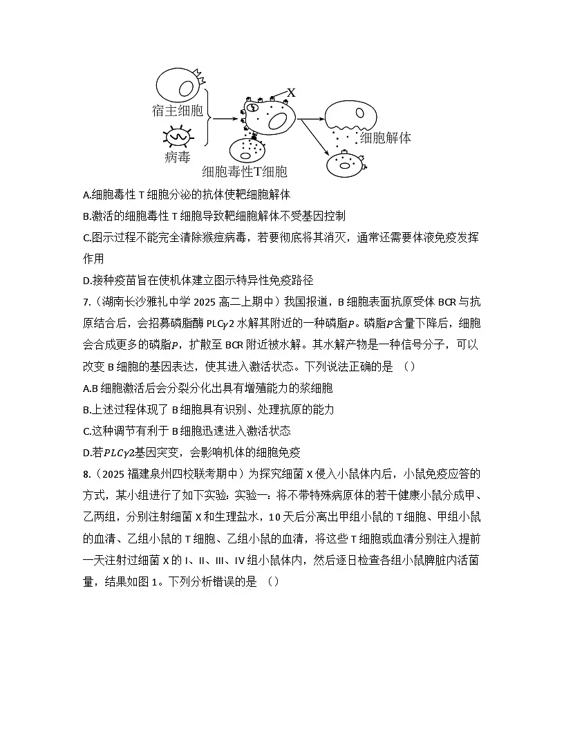 高中生物人教版(2019)选择性必修1 稳态与调节第4章 第2节特异性免疫检测试卷(及答案)第3页
