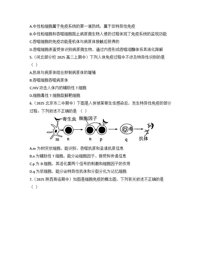 高中生物人教版(2019)选择性必修1 稳态与调节第4章 免疫调节检测试卷(及答案)第2页
