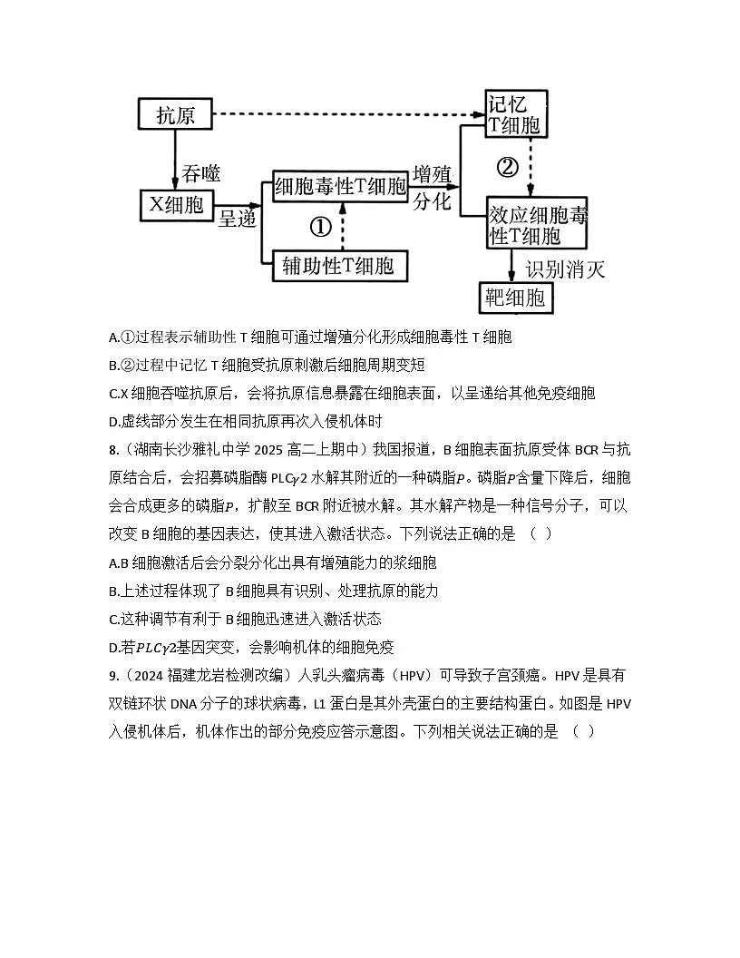 高中生物人教版(2019)选择性必修1 稳态与调节第4章 免疫调节检测试卷(及答案)第3页