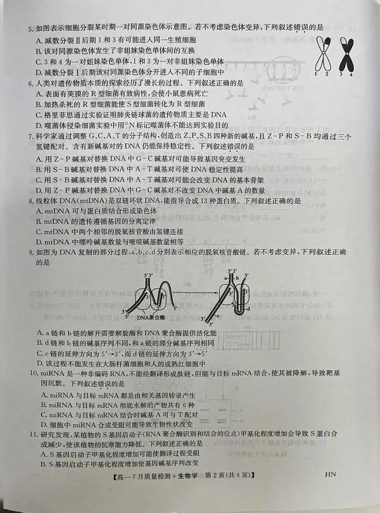 河南省商丘市2024-2025学年高一下学期期末考试生物试题(PDF版附解析)第2页