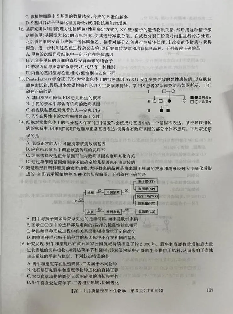 河南省商丘市2024-2025学年高一下学期期末考试生物试题(PDF版附解析)第3页