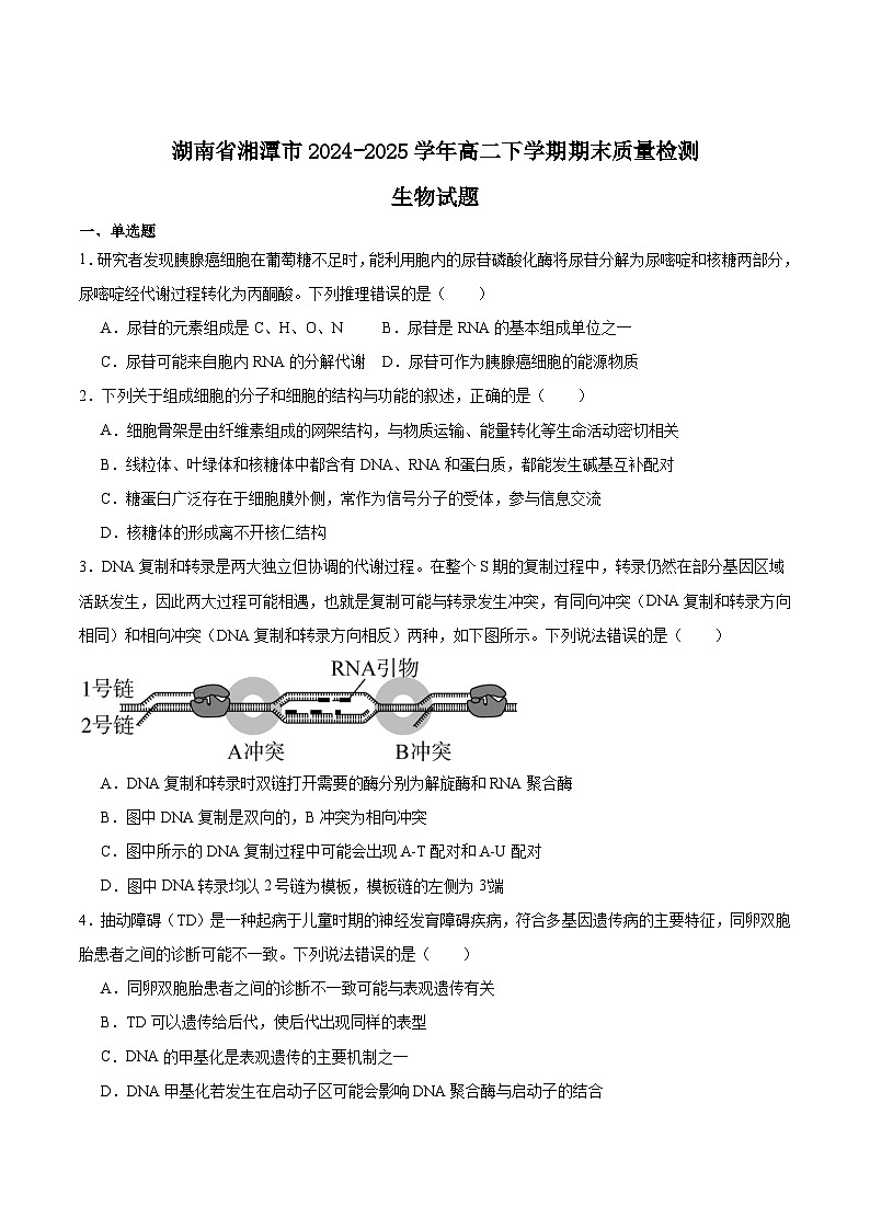 湖南省湘潭市2024-2025学年高二下学期期末考试生物试题(Word版附答案)第1页