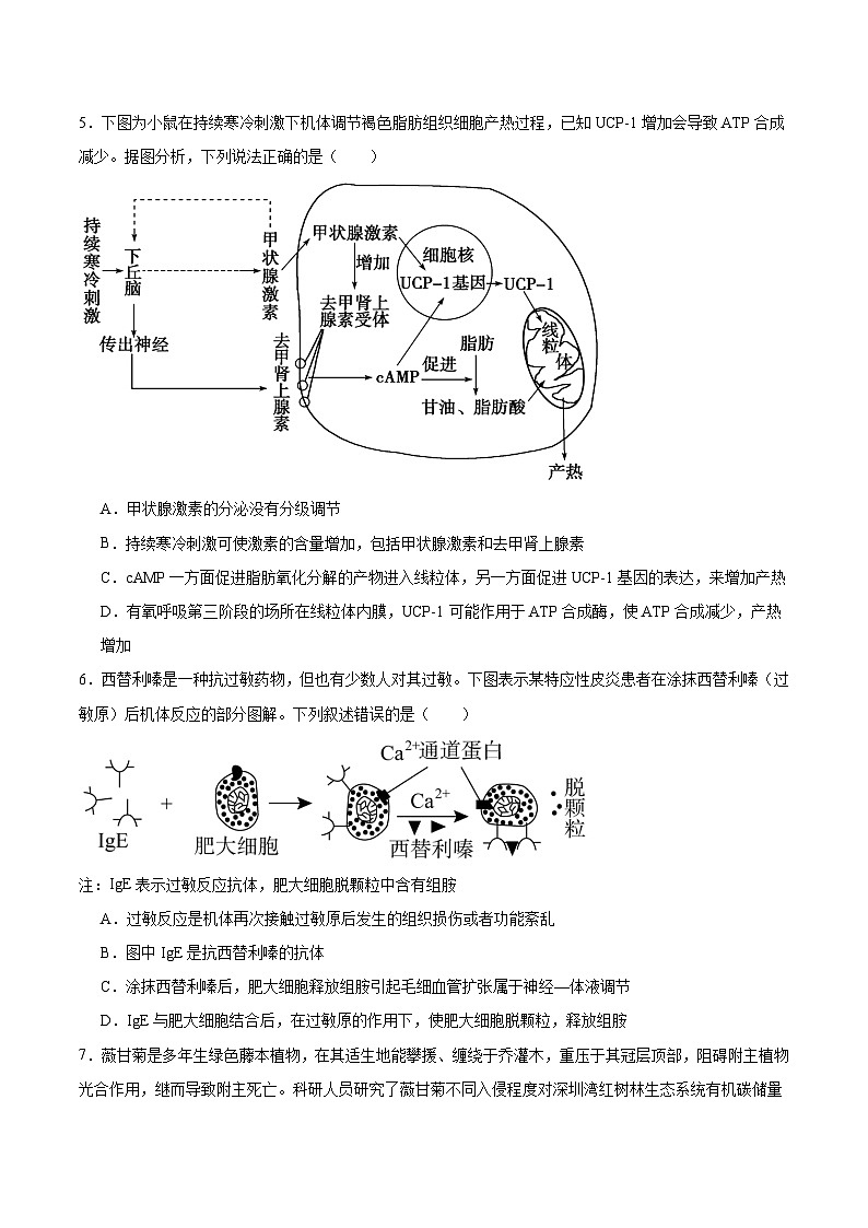 湖南省湘潭市2024-2025学年高二下学期期末考试生物试题(Word版附答案)第2页