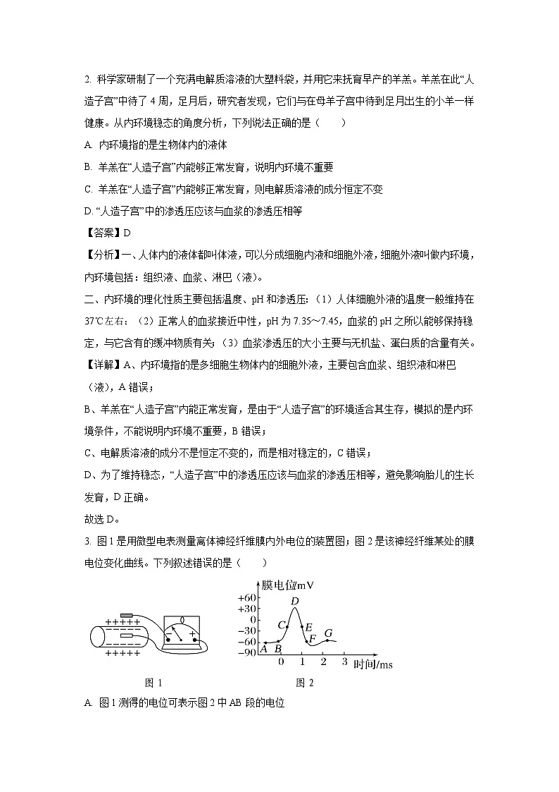 【生物】广西部分名校2024-2025学年高二上学期12月联合检测(解析版)第2页