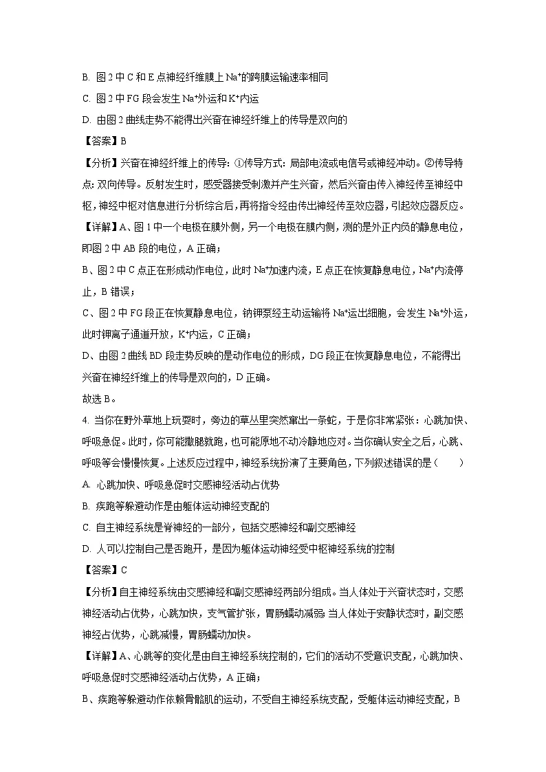 【生物】广西部分名校2024-2025学年高二上学期12月联合检测(解析版)第3页