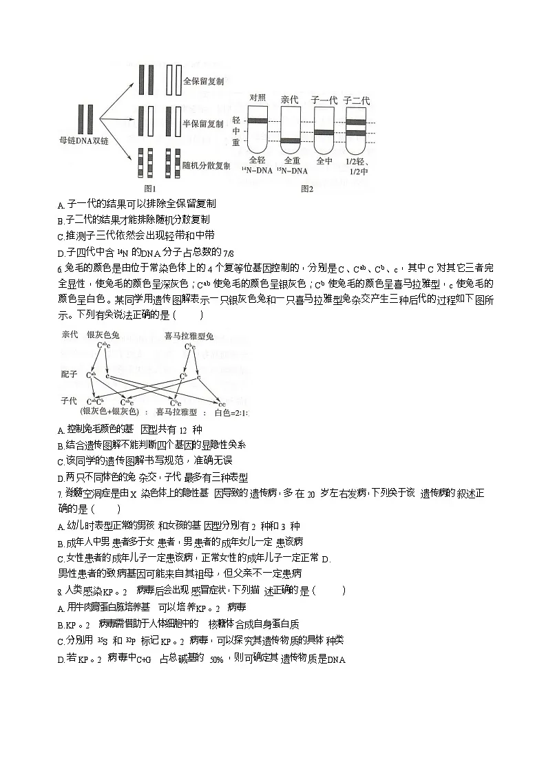 河北省邢台市名校联考2025-2026学年高二上学期开学联考生物试卷第2页
