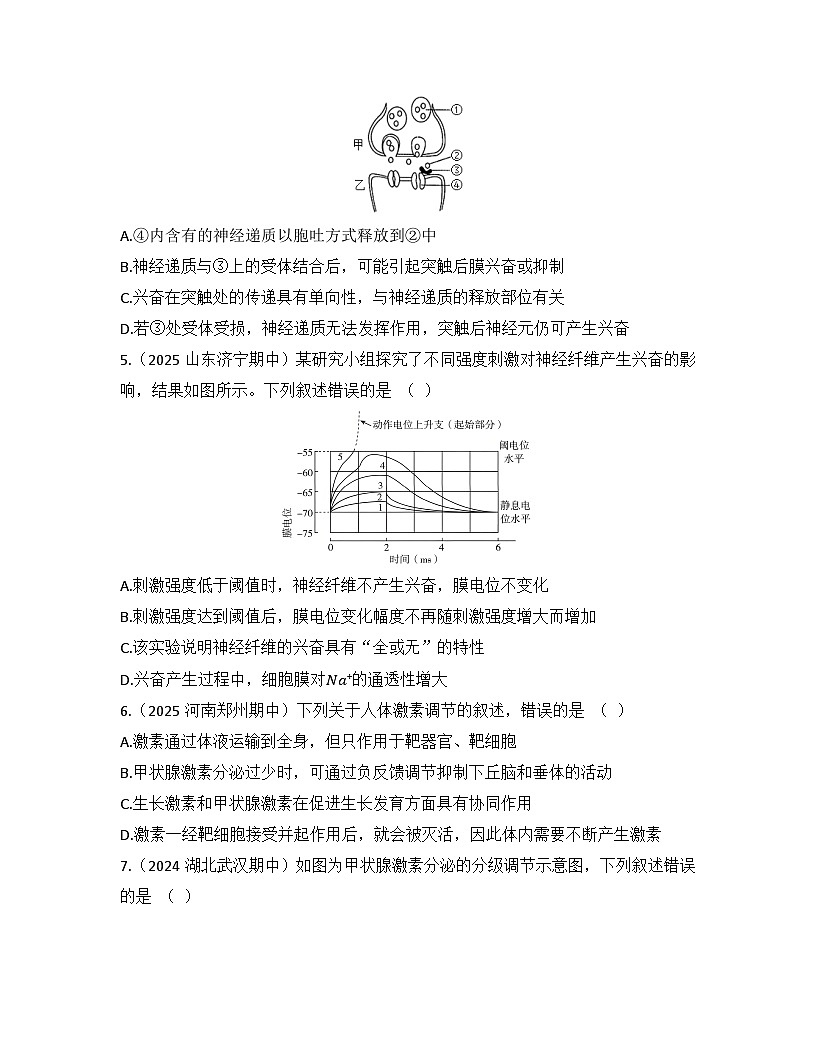 高中生物人教版(2019)选择性必修1 稳态与调节全册检测试卷(及答案)第2页