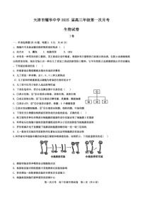 2025届天津耀华中学高三下学期10月第一次月考-生物试题（含答案）