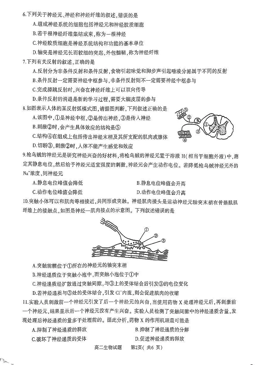 河南省信阳市2024-2025上期期中高二生物试卷第2页