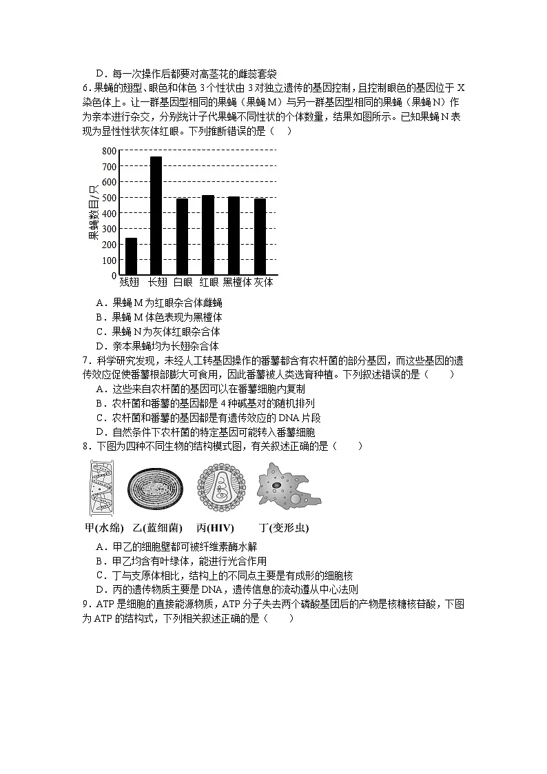 河南省信阳市淮滨县多校联考2023-2024学年高一下学期7月期末生物试题第2页