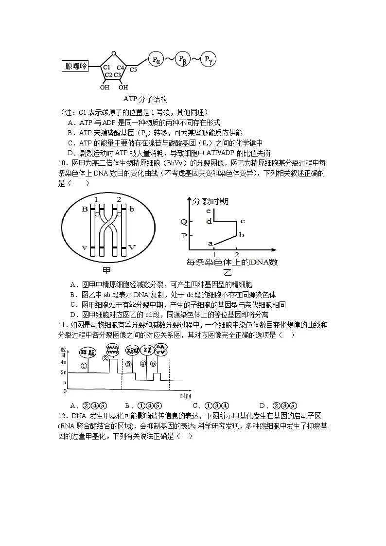 河南省信阳市淮滨县多校联考2023-2024学年高一下学期7月期末生物试题第3页