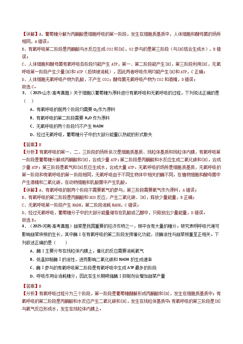 专题05 细胞呼吸(解析版)第3页
