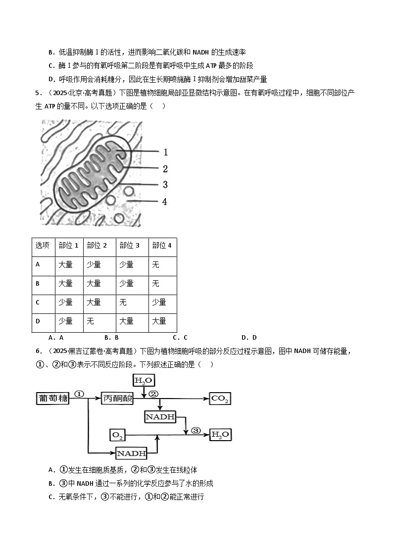 专题05 细胞呼吸(原卷版)第3页